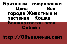 Бриташки - очаровашки.  › Цена ­ 3 000 - Все города Животные и растения » Кошки   . Башкортостан респ.,Сибай г.